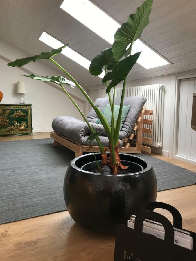Little Lio Apartment Cavallino-Treporti Eksteriør billede